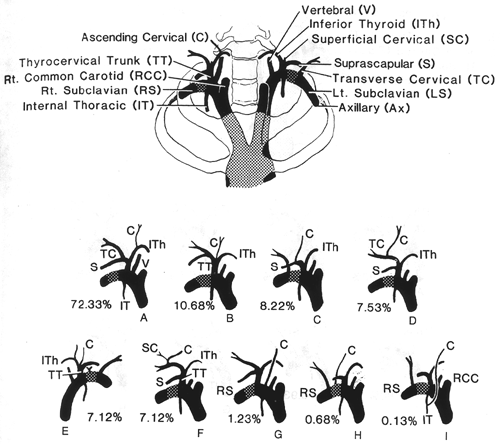 Image of ascending cervical artery