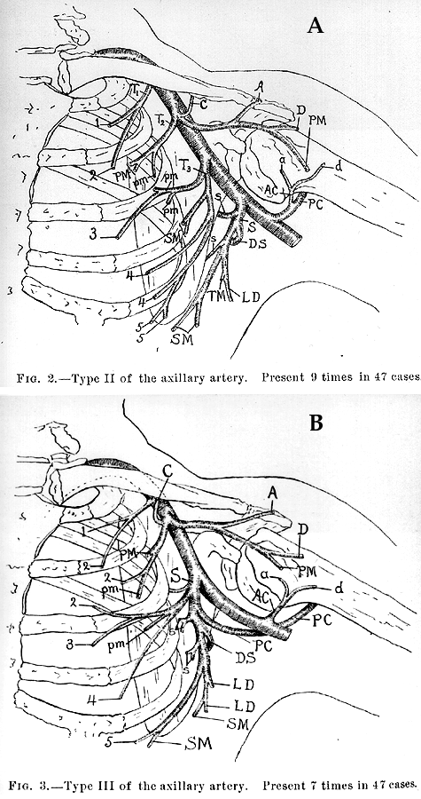 Image of composite study of axillary artery