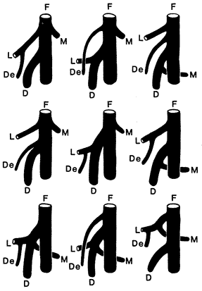 Image of origin of deep and circumflex group of arteries