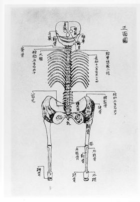 Image of Vesalius 1