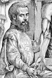 Image of Vesalius