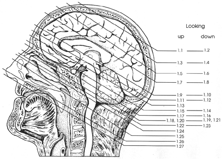 Key Figure 1