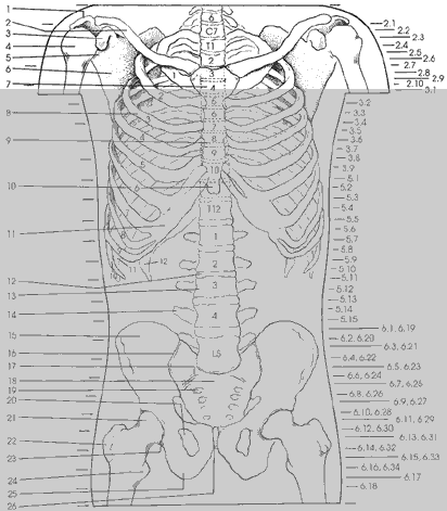 Key Figure 2a