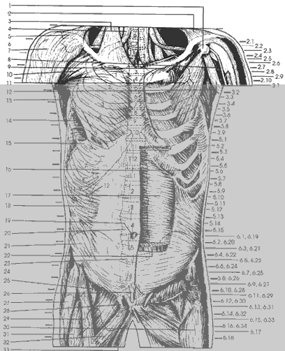 Key Figure 2b