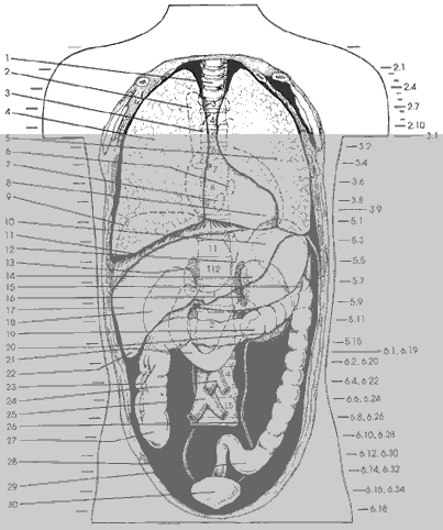 Key Figure 2c