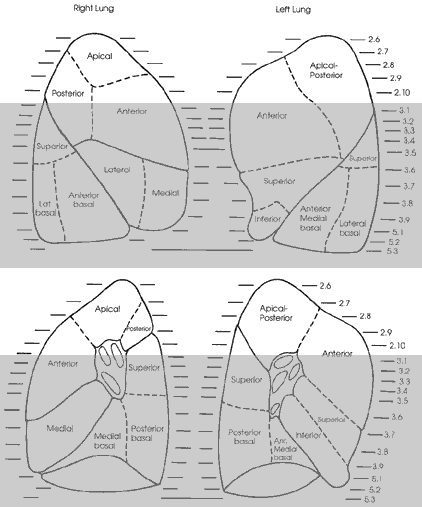 Key Figure 2e