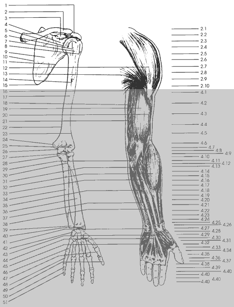 Key Figure 2f