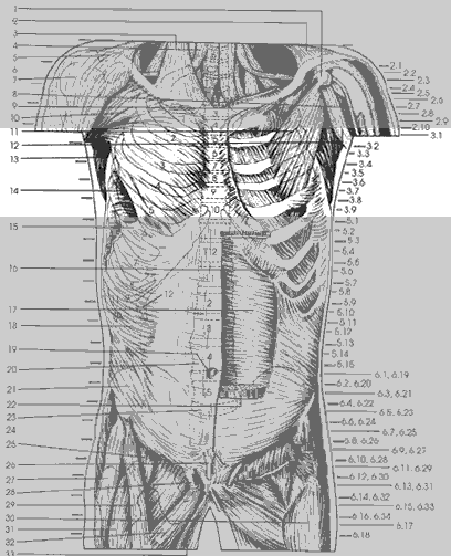 Key Figure 3b