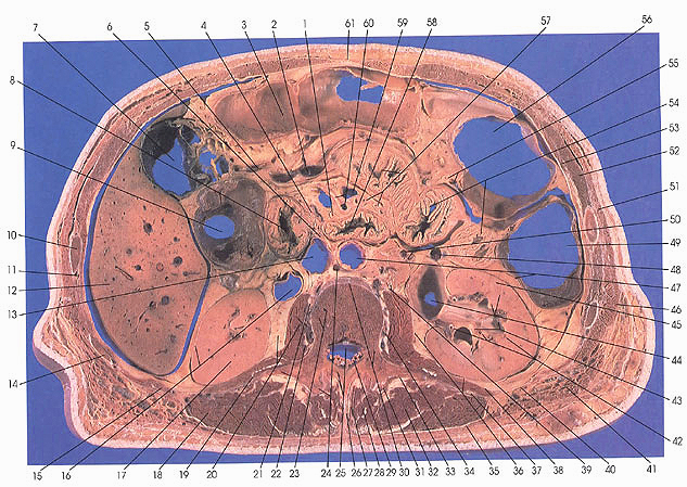 Plate 5.10