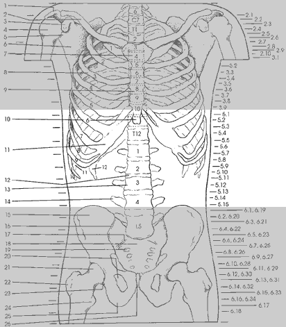 Key Figure 5a