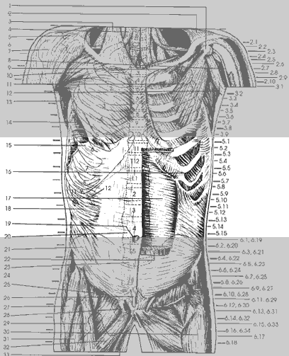 Key Figure 5b