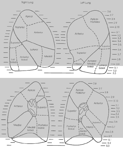 Key Figure 5e