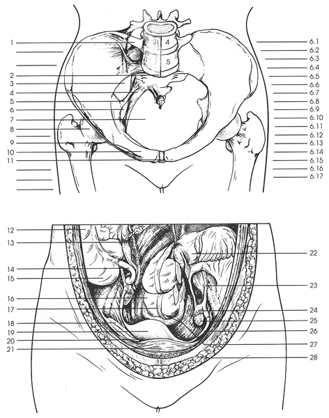 Key Figure 6a