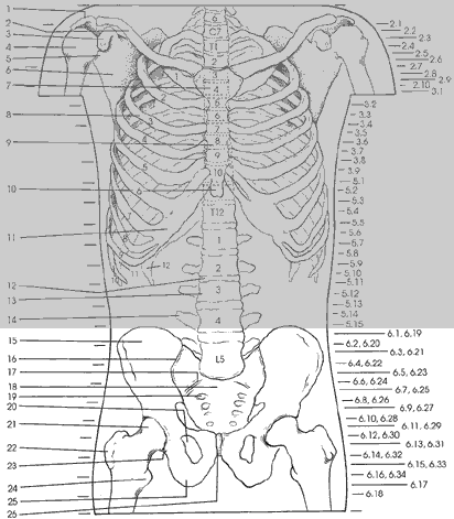 Key Figure 6b