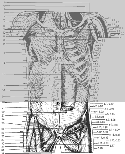 Key Figure 6c