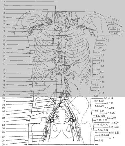 Key Figure 6e