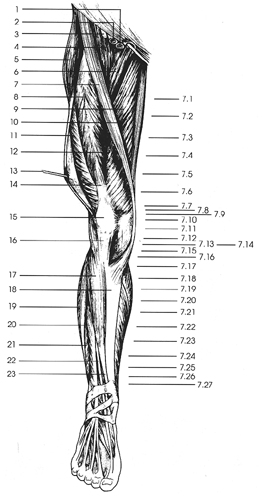 Key Figure 7a