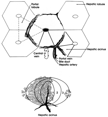 Diagram 10 - A