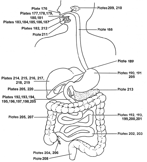 Diagram 10 - B