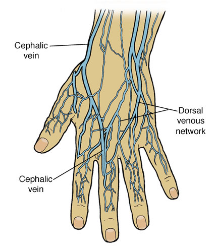 Injection Site  C